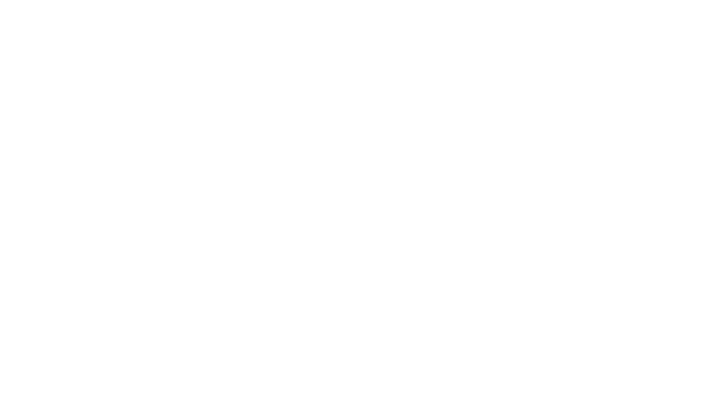 Roll & Flat Beach Race