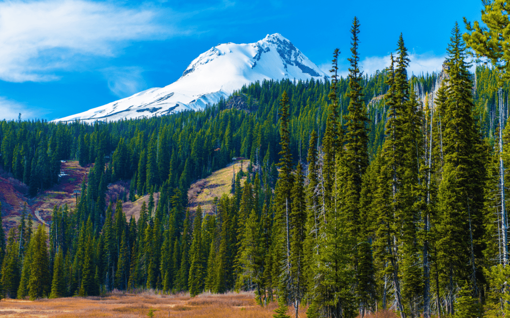Una visione panoramica del monte Hood, Oregon 