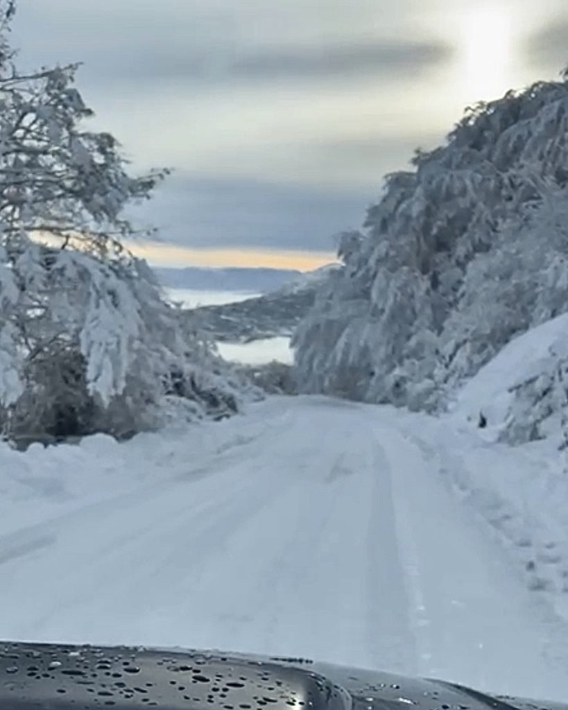 Paesaggio innevato. La strada e bianca, gli alberi ricoperti di neve fresca e in lontananza si vede uno scorcio di valle con delle nuvole. Un paesaggio suggestivo che ricorda le favole.
