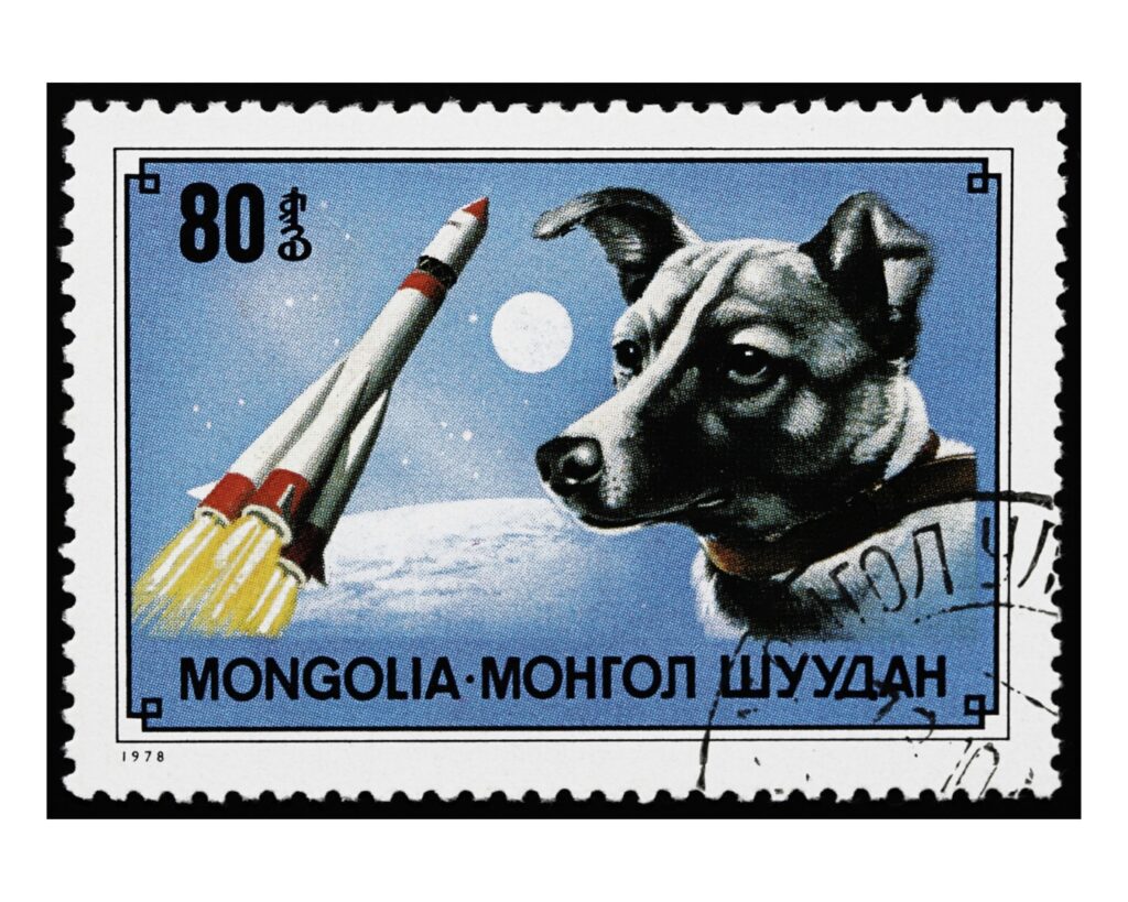 Francobollo commemorativo del cane Laika con razzo sullo sfondo. Il francobollo è con fondo blu e azzurro, le scritte sono in russo 